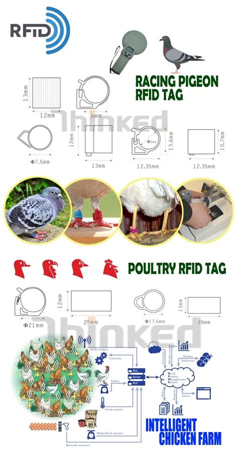 chicken rfid tracking|toscano tracking chickens.